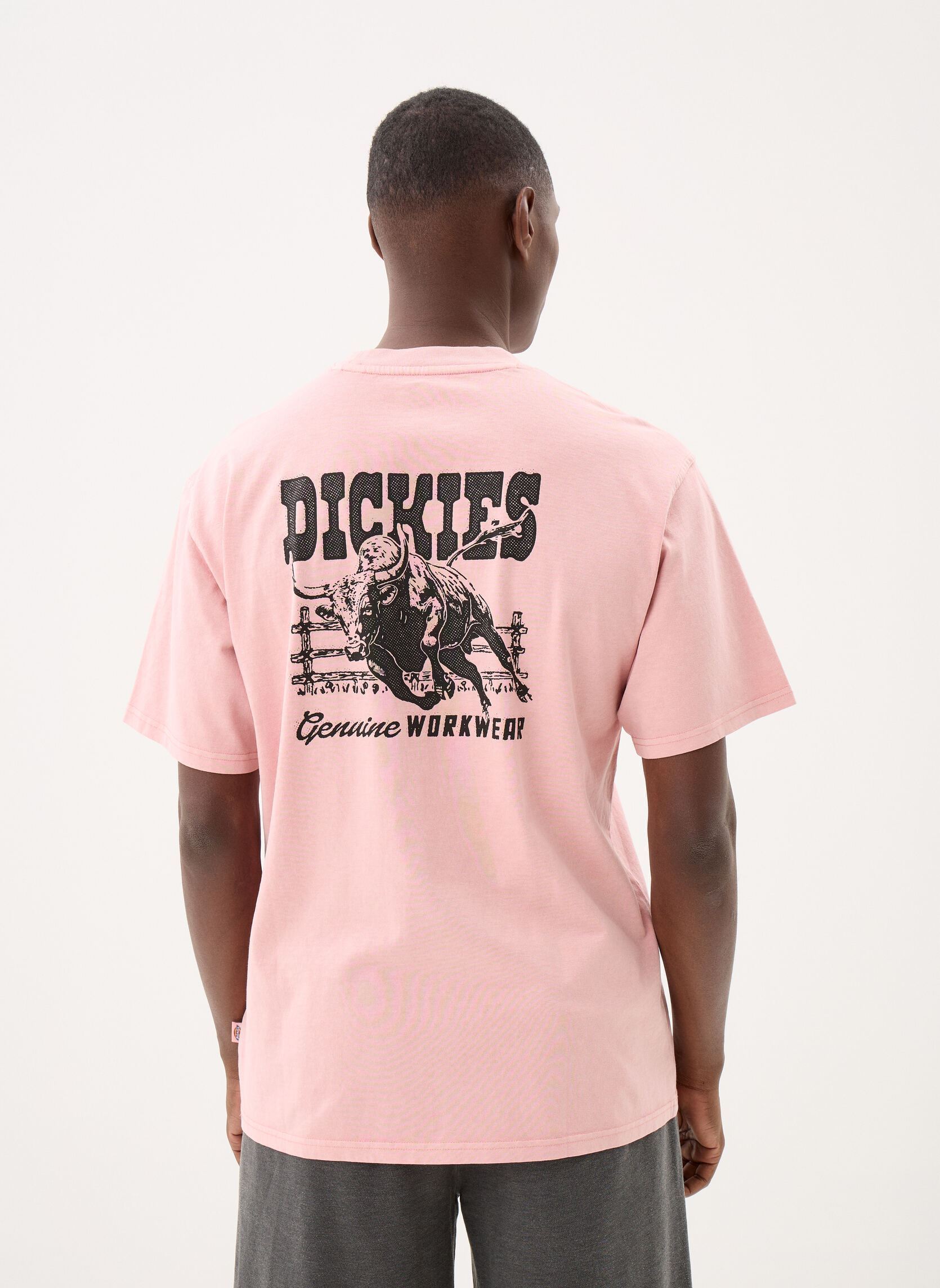 T-Shirts Buchtell Ss Tee herren rosa Dickies T-Shirts Buchtell Ss Tee herren rosa BRIDAL ROSE