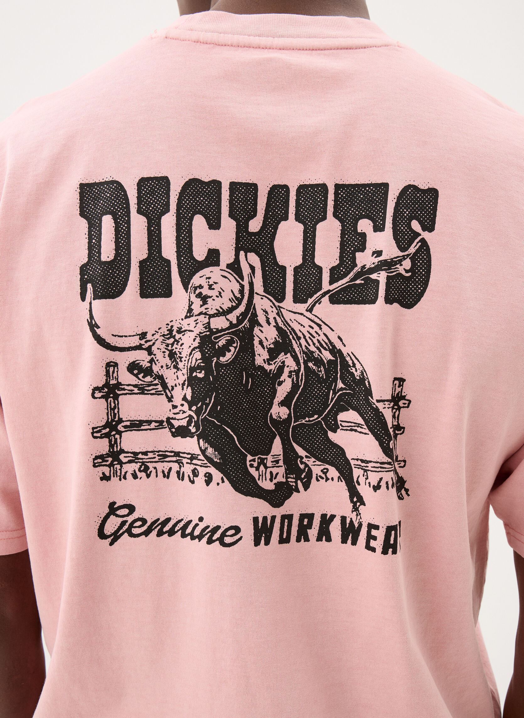 T-Shirts Buchtell Ss Tee herren rosa Dickies T-Shirts Buchtell Ss Tee herren rosa BRIDAL ROSE