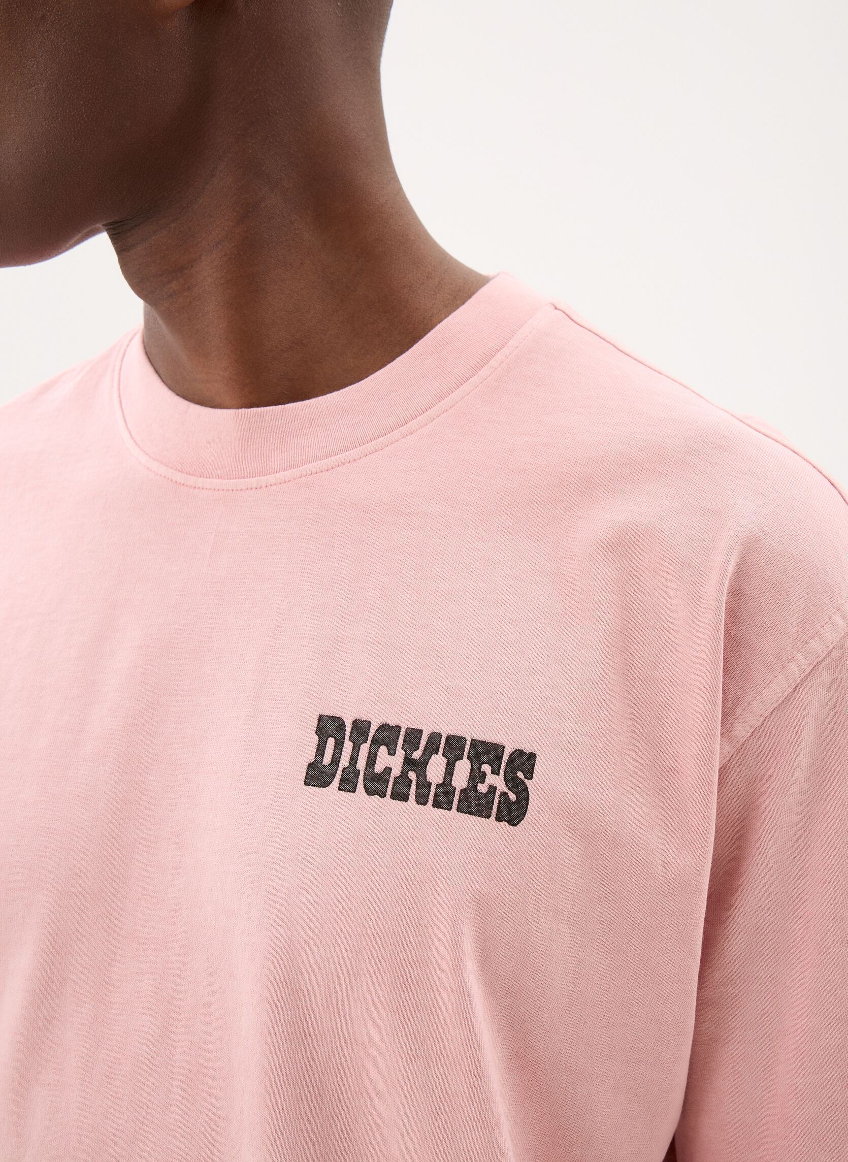 T-Shirts Buchtell Ss Tee herren rosa Dickies T-Shirts Buchtell Ss Tee herren rosa BRIDAL ROSE