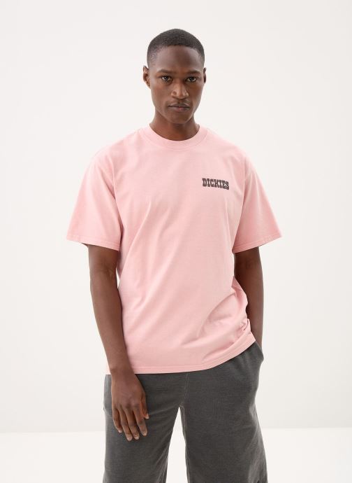 Dickies T-Shirts Buchtell Ss Tee herren rosa