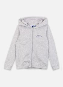 Kapuzenpullover Jjcollege Logo Sweat Zip Hood Jnr jungen blau