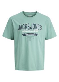 Tee-shirts manches courtes Jjelogo Tee Ss O-Neck 2 Col Ss26 Sn Jnr garçon gris
