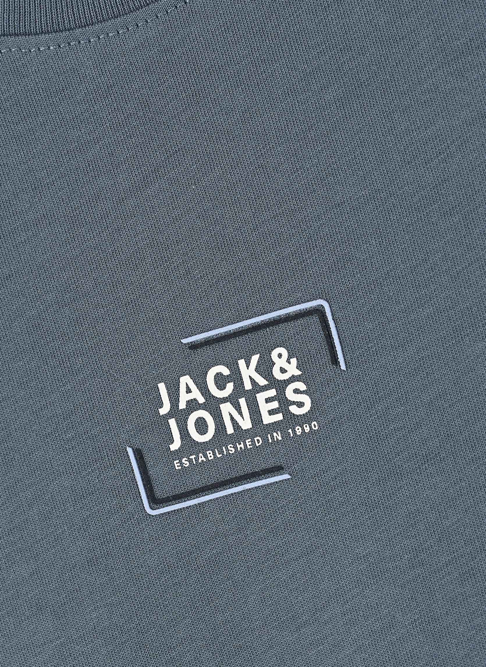 Tee-shirts manches courtes Jjcorp Graphic Tee Ss O-Neck Jnr garçon bleu Jack & Jones Tee-shirts manches courtes Jjcorp Graphic Tee Ss O-Neck Jnr garçon bleu BLUE MIRAGE