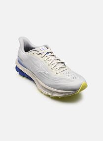 Chaussures de sport WAVE SKYRISE 7 M homme gris