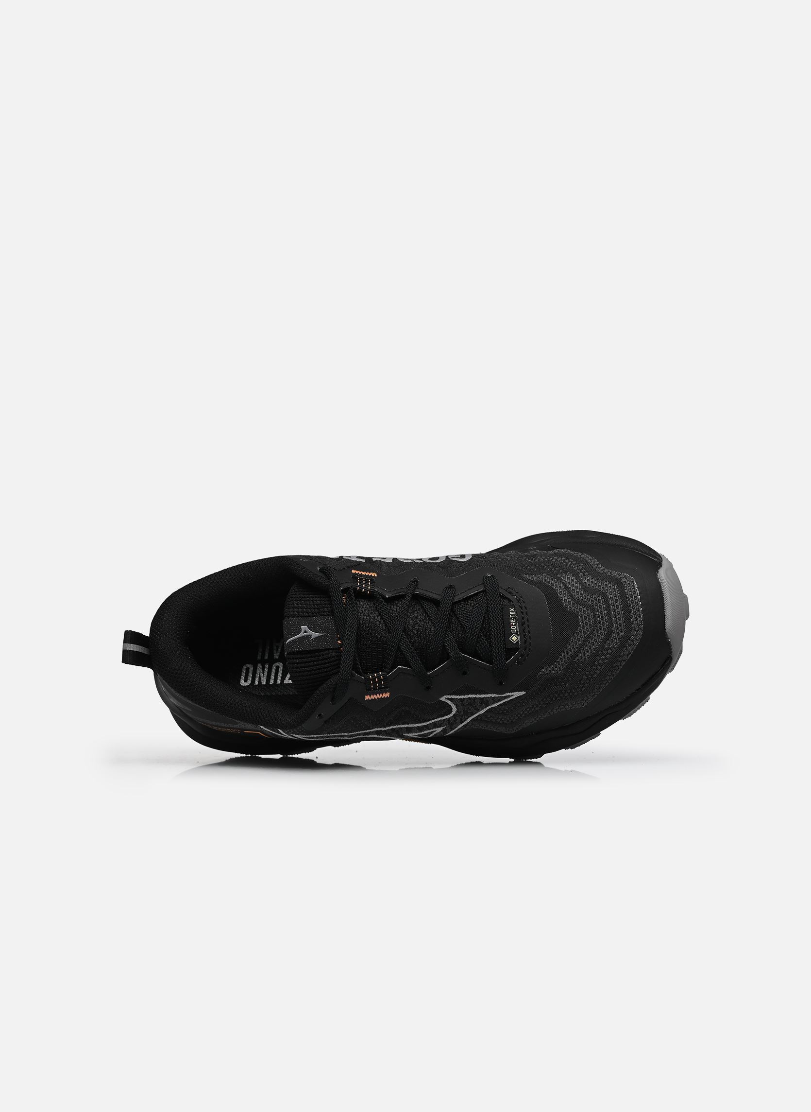 Chaussures de sport WAVE DAICHI 9 GORE-TEX W femme noir Mizuno Chaussures de sport WAVE DAICHI 9 GORE-TEX W femme noir Black/Ultimate Gray/Ultimate G