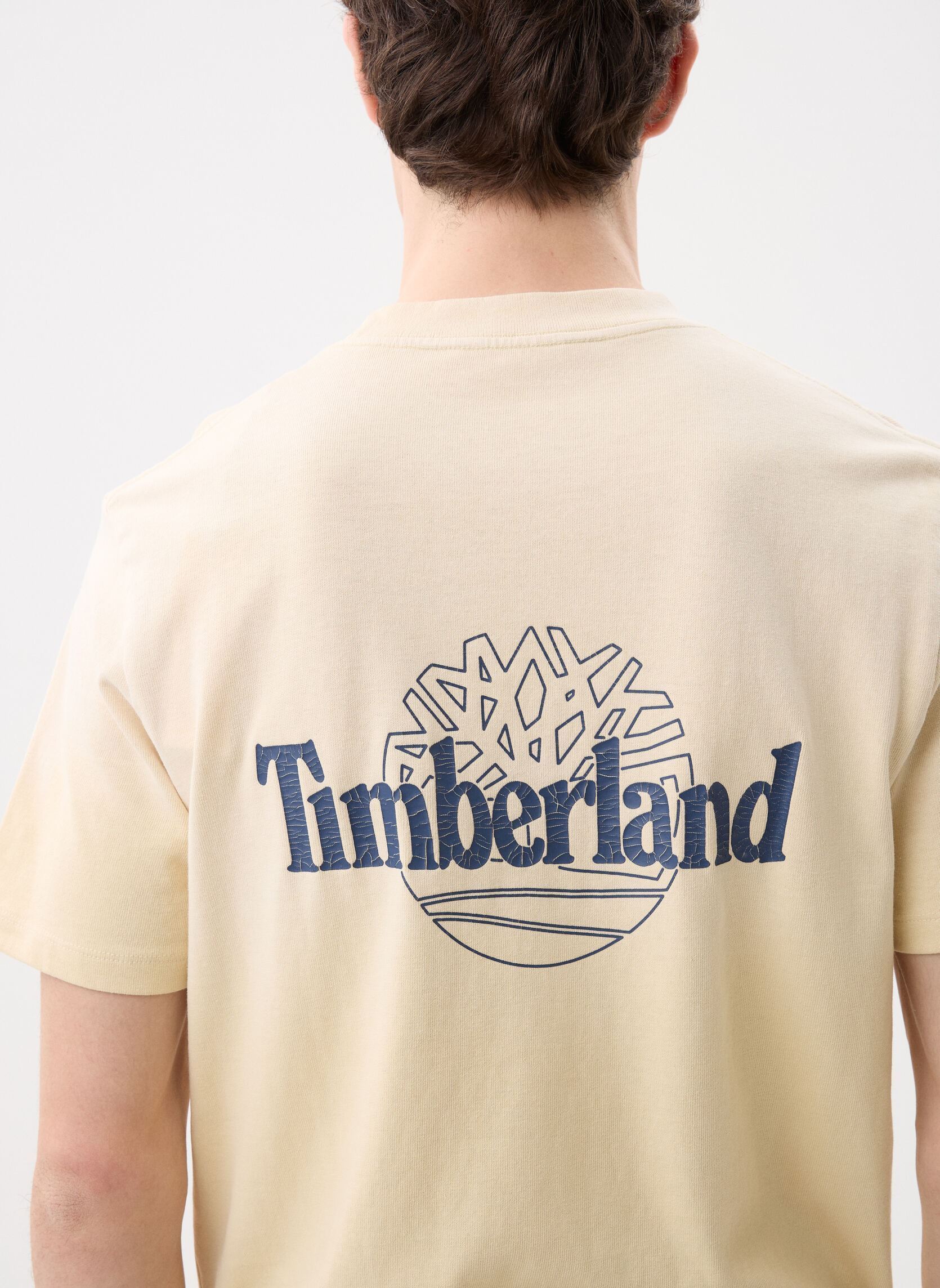 Tee-shirts manches courtes Sunfaded Back Tree Logo Graphic Hw Tee homme beige Timberland Tee-shirts manches courtes Sunfaded Back Tree Logo Graphic Hw Tee homme beige PUTTY