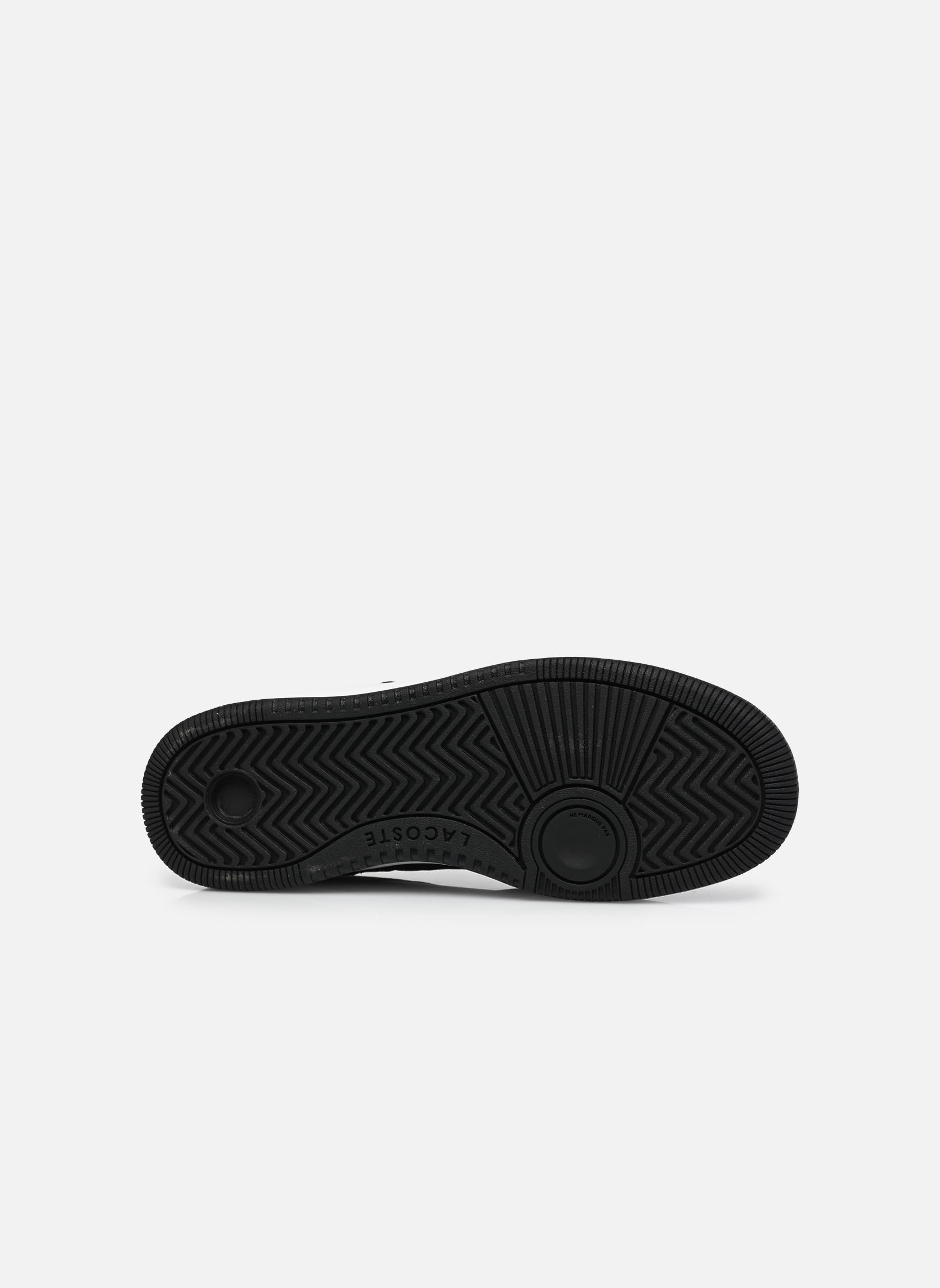 Sneakers L001 ACE heren zwart Lacoste Sneakers L001 ACE heren zwart blk/wht