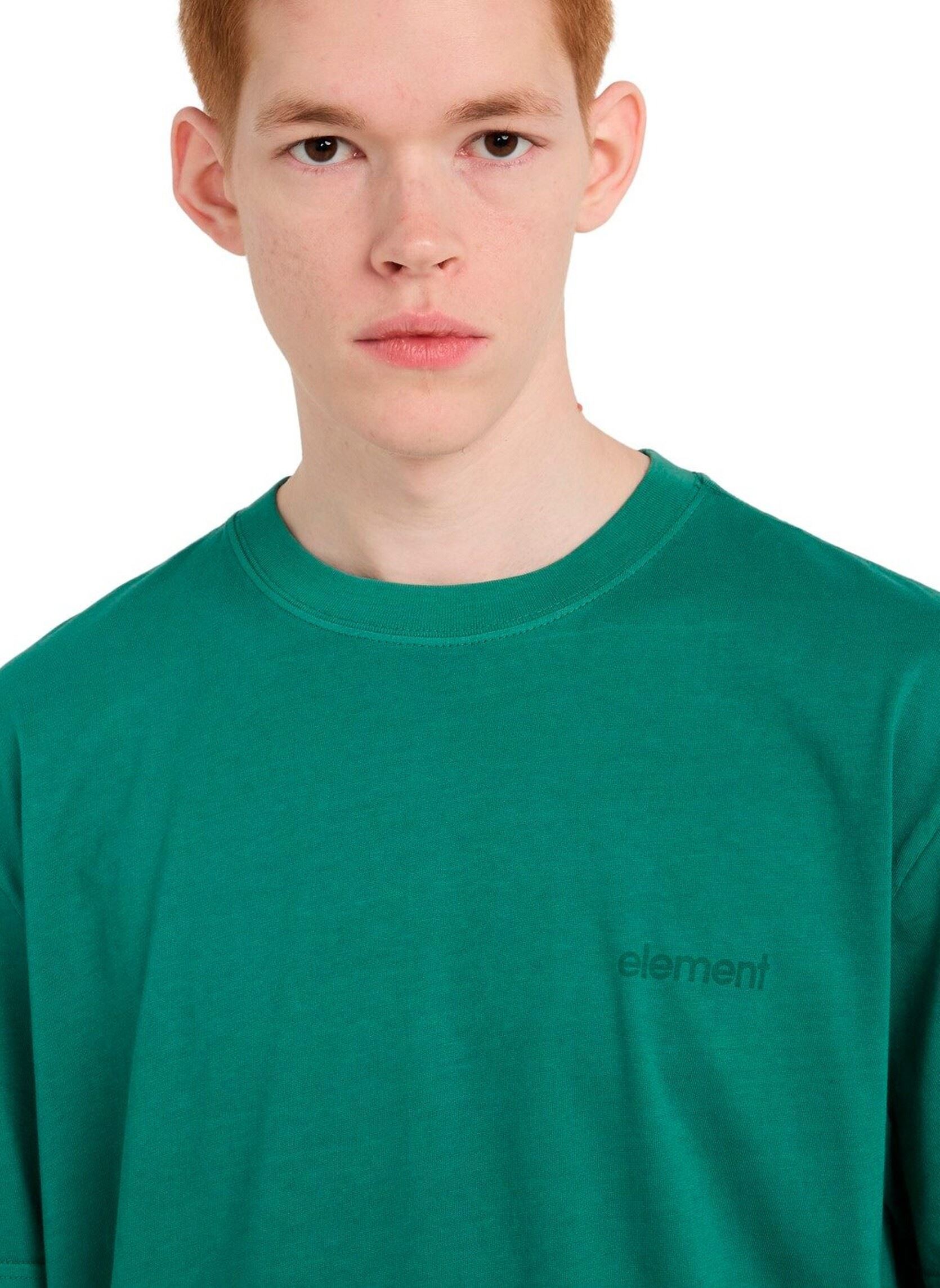Tee-shirts manches courtes Lowcase Pigment Ss homme vert Element Tee-shirts manches courtes Lowcase Pigment Ss homme vert FIR