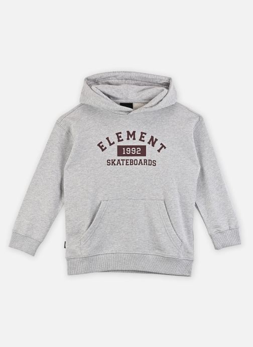 Element Sweats à capuche Home Team Po Y garçon gris