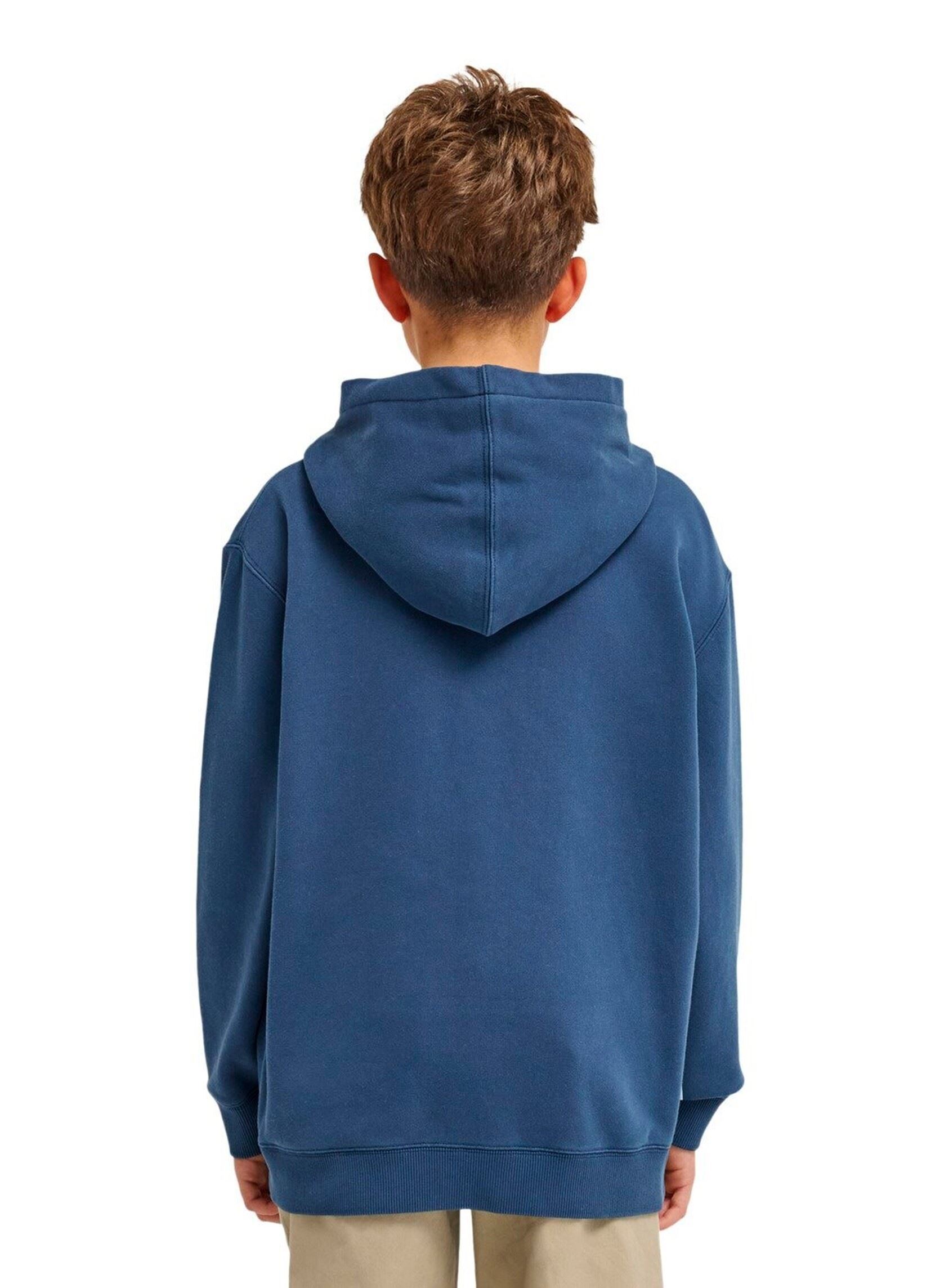 Kapuzenpullover Lowcase Pigment Po Y jungen blau Element Kapuzenpullover Lowcase Pigment Po Y jungen blau DARK DENIM