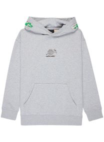 Sweats à capuche Horn Po Y garçon gris