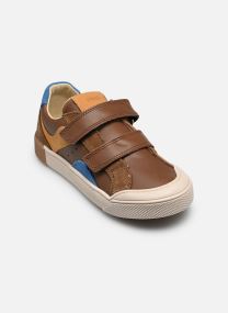 Sneaker PPF 14230 jungen braun
