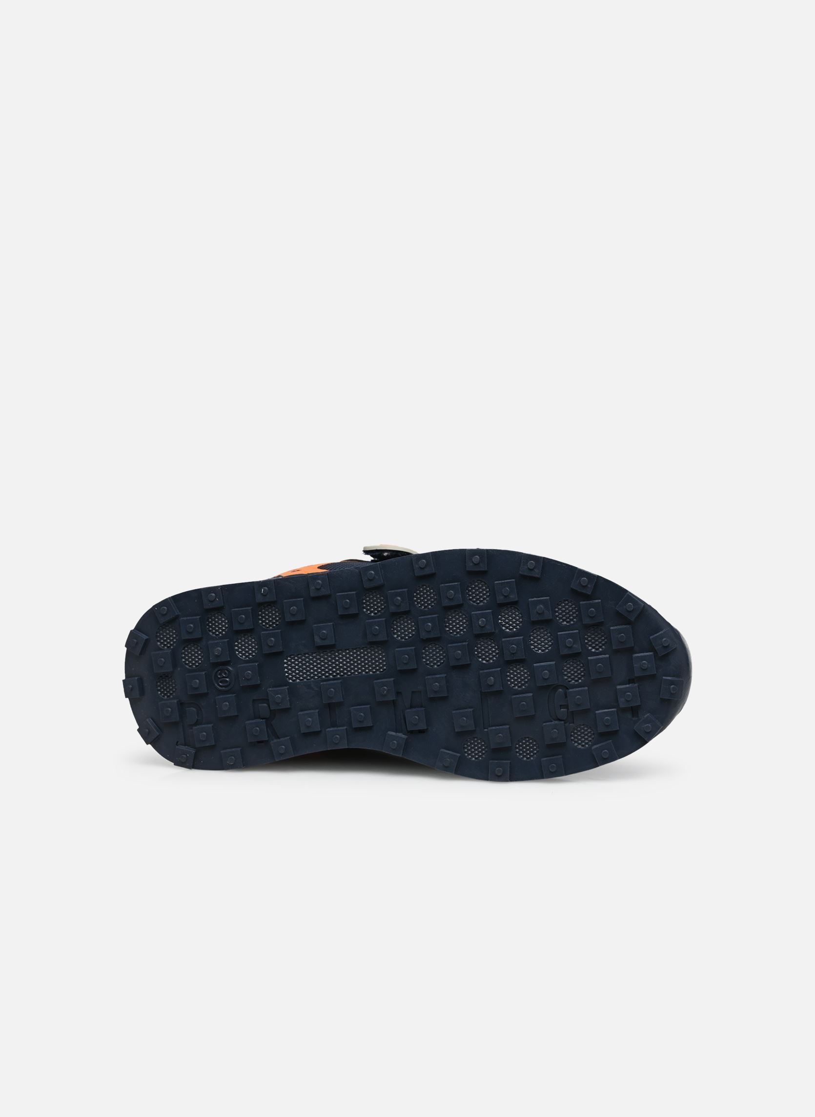 Baskets basses PJT 14635 garçon bleu Primigi Baskets basses PJT 14635 garçon bleu Navy