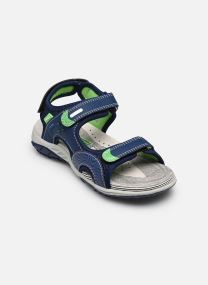 Sandales PEE 14761 garçon bleu Primigi Sandales PEE 14761 garçon bleu Navy