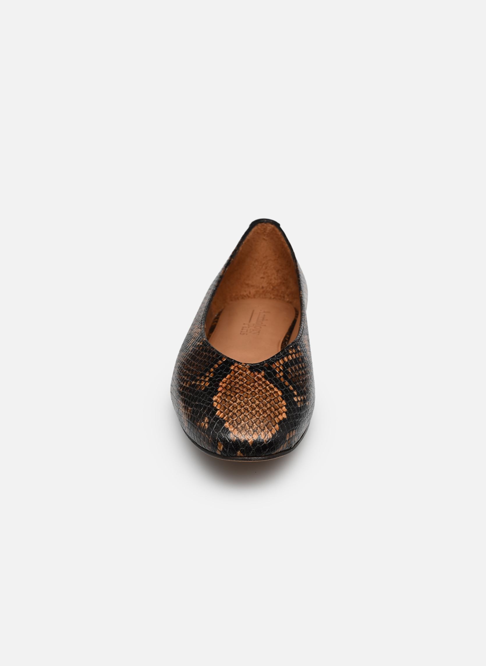 Ballerines classiques Anouk femme marron Anthology Paris Ballerines classiques Anouk femme marron Camel 610