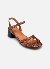 Sandalen Tara damen gold und bronze Anthology Paris Sandalen Tara damen gold und bronze Bronze