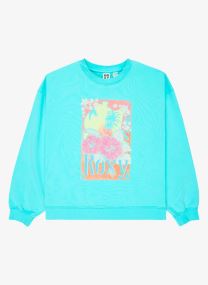 Sweats à capuche Lineup Crew Rg Terry fille bleu Roxy Sweats à capuche Lineup Crew Rg Terry fille bleu AQUA SPLASH