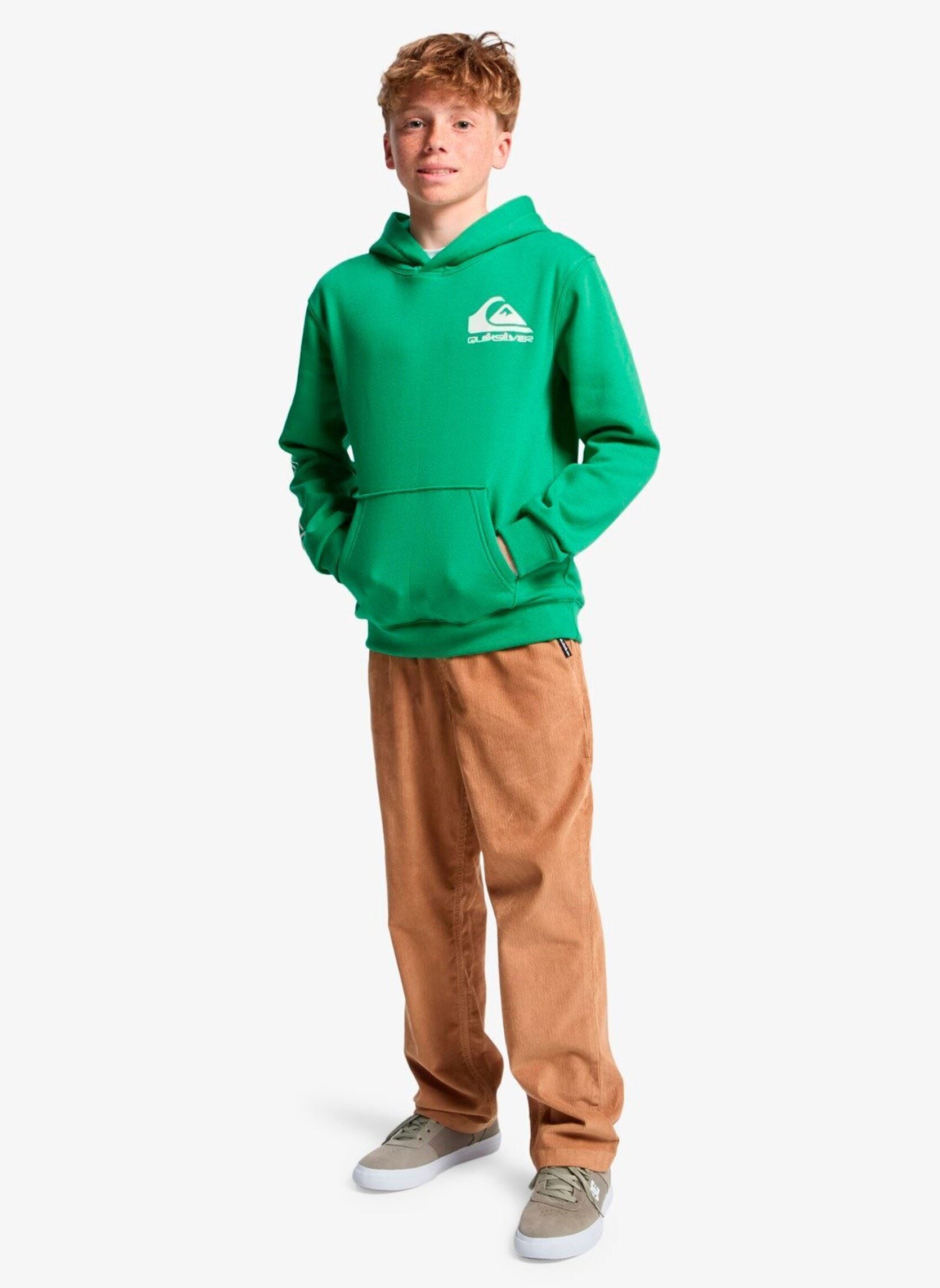 Kapuzenpullover Omni Logo Hoodie Youth jungen grün Quiksilver Kapuzenpullover Omni Logo Hoodie Youth jungen grün Leprechaun