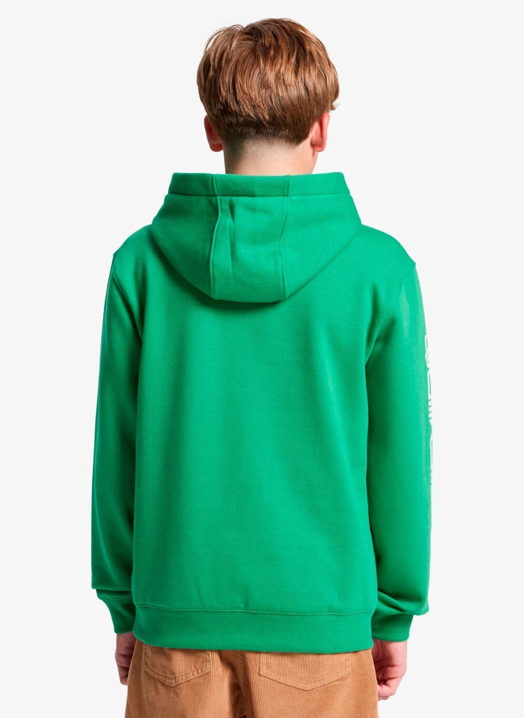 Kapuzenpullover Omni Logo Hoodie Youth jungen grün Quiksilver Kapuzenpullover Omni Logo Hoodie Youth jungen grün Leprechaun