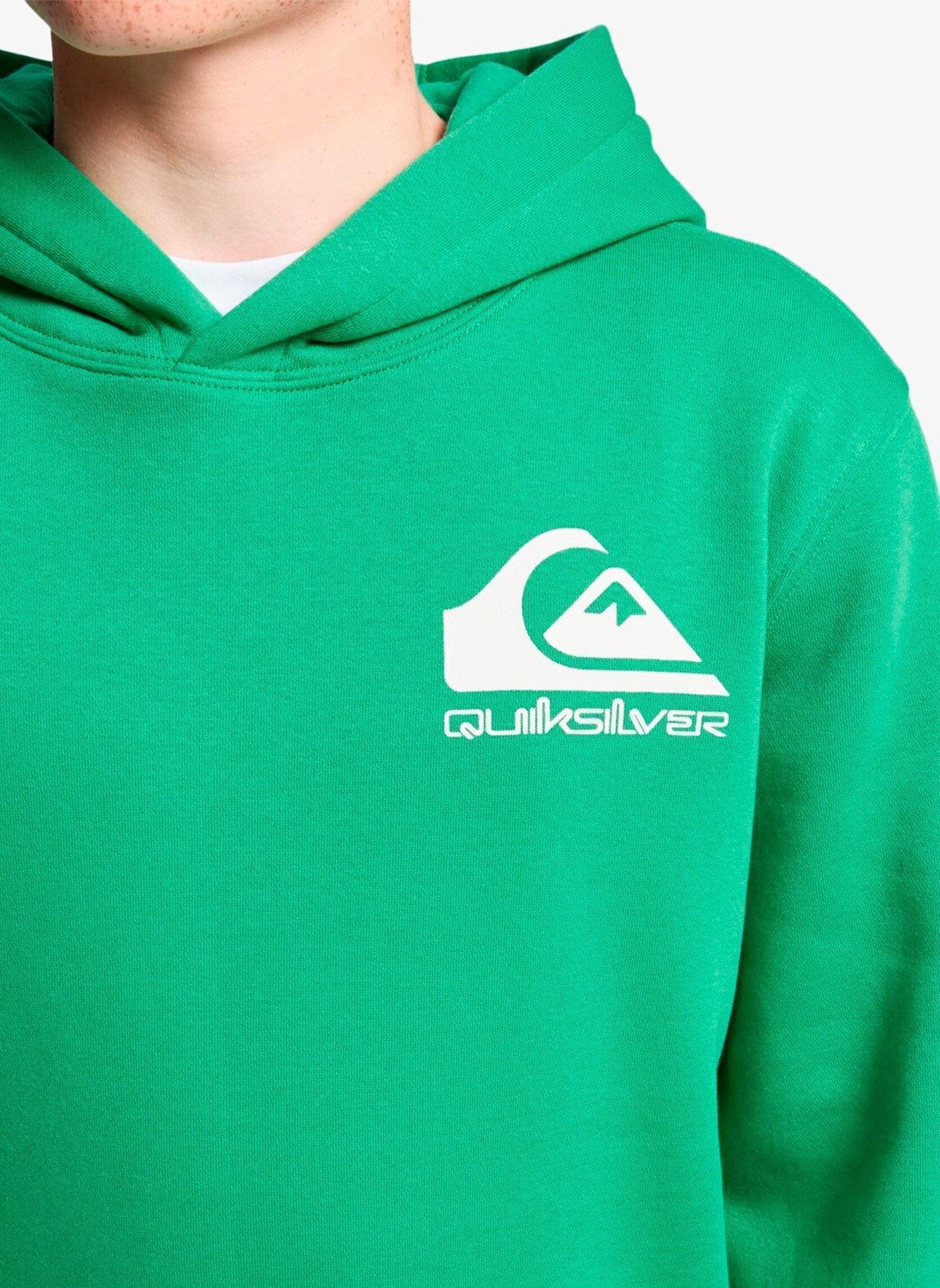 Kapuzenpullover Omni Logo Hoodie Youth jungen grün Quiksilver Kapuzenpullover Omni Logo Hoodie Youth jungen grün Leprechaun