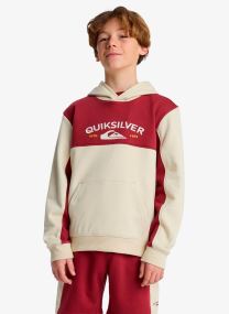Sweats à capuche Knowledge Area Hoodie Youth garçon beige