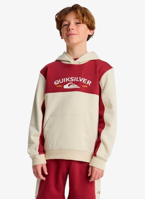 Quiksilver Kapuzenpullover Knowledge Area Hoodie Youth jungen beige