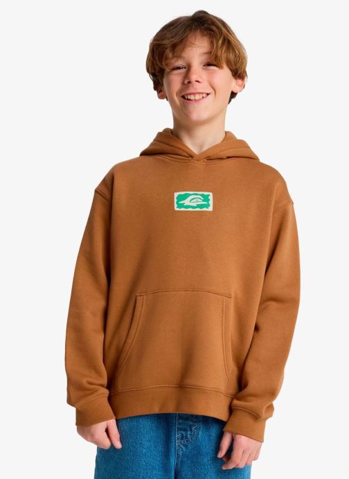 Quiksilver Kapuzenpullover Graphic Hero Hoodie Youth jungen braun