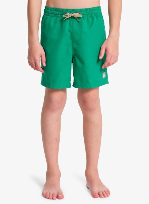 Quiksilver Badeshorts Everyday Volley Yth 14 jungen grün