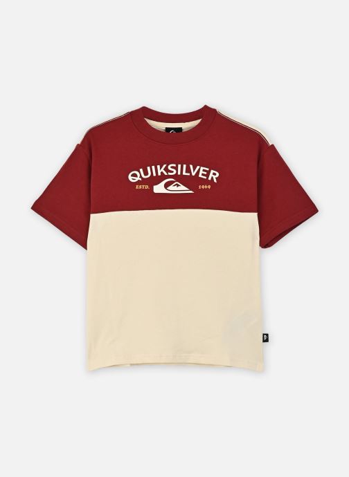 Quiksilver Tee-shirts Knowledge Aera Ss Tee Youth garçon beige