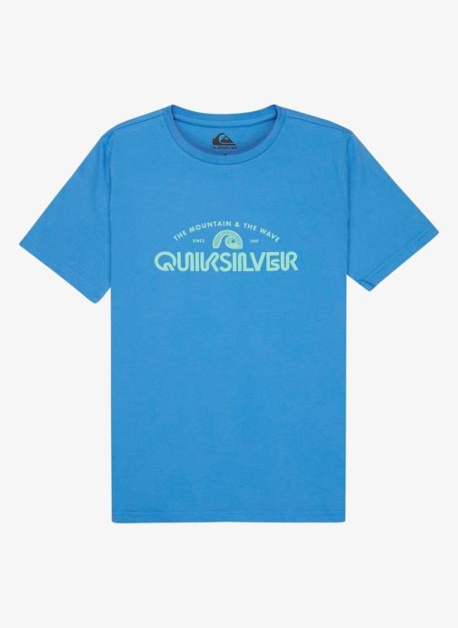 Quiksilver Tee-shirts manches courtes Ev Corpo Classic Youth garçon bleu