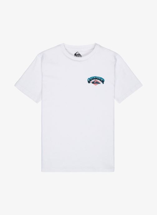 Quiksilver Tee-shirts manches courtes Palm Horizon Ss garçon blanc