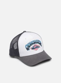 Casquettes Decades Cotton Trucker Boy garçon multicolore Quiksilver Casquettes Decades Cotton Trucker Boy garçon multicolore Micro Chip