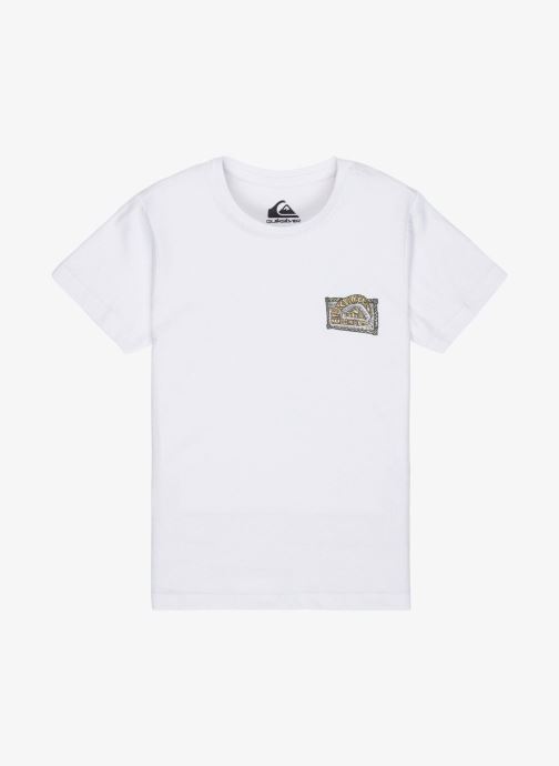 Quiksilver Tee-shirts manches courtes Ev Heritage Ss Boy garçon blanc