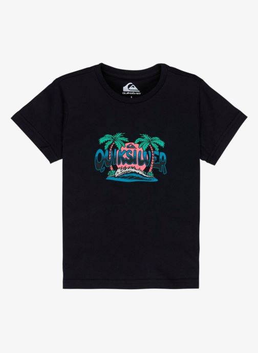 Quiksilver Tee-shirts manches courtes Ev Palm Horizon Ss Boy garçon noir