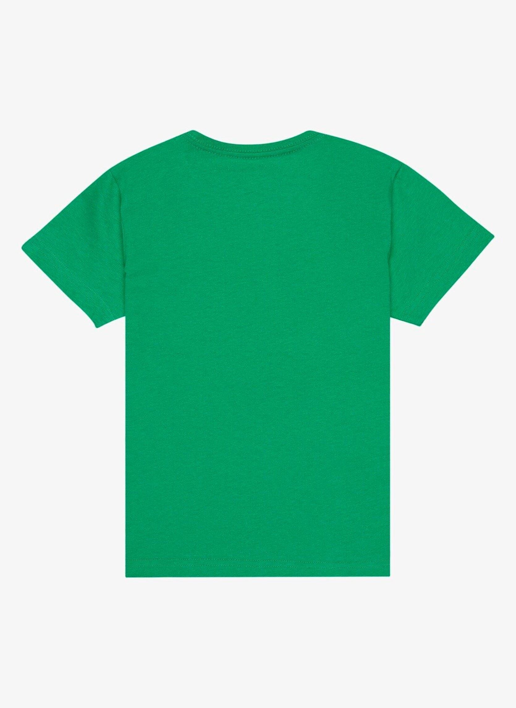 T-shirts met korte mouwen Ev Human Wave Ss Boy jongens groen Quiksilver T-shirts met korte mouwen Ev Human Wave Ss Boy jongens groen Leprechaun