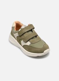 Niedrige Sneaker Yuki jungen grün