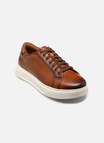 Niedrige Sneaker Goswell Tie herren braun