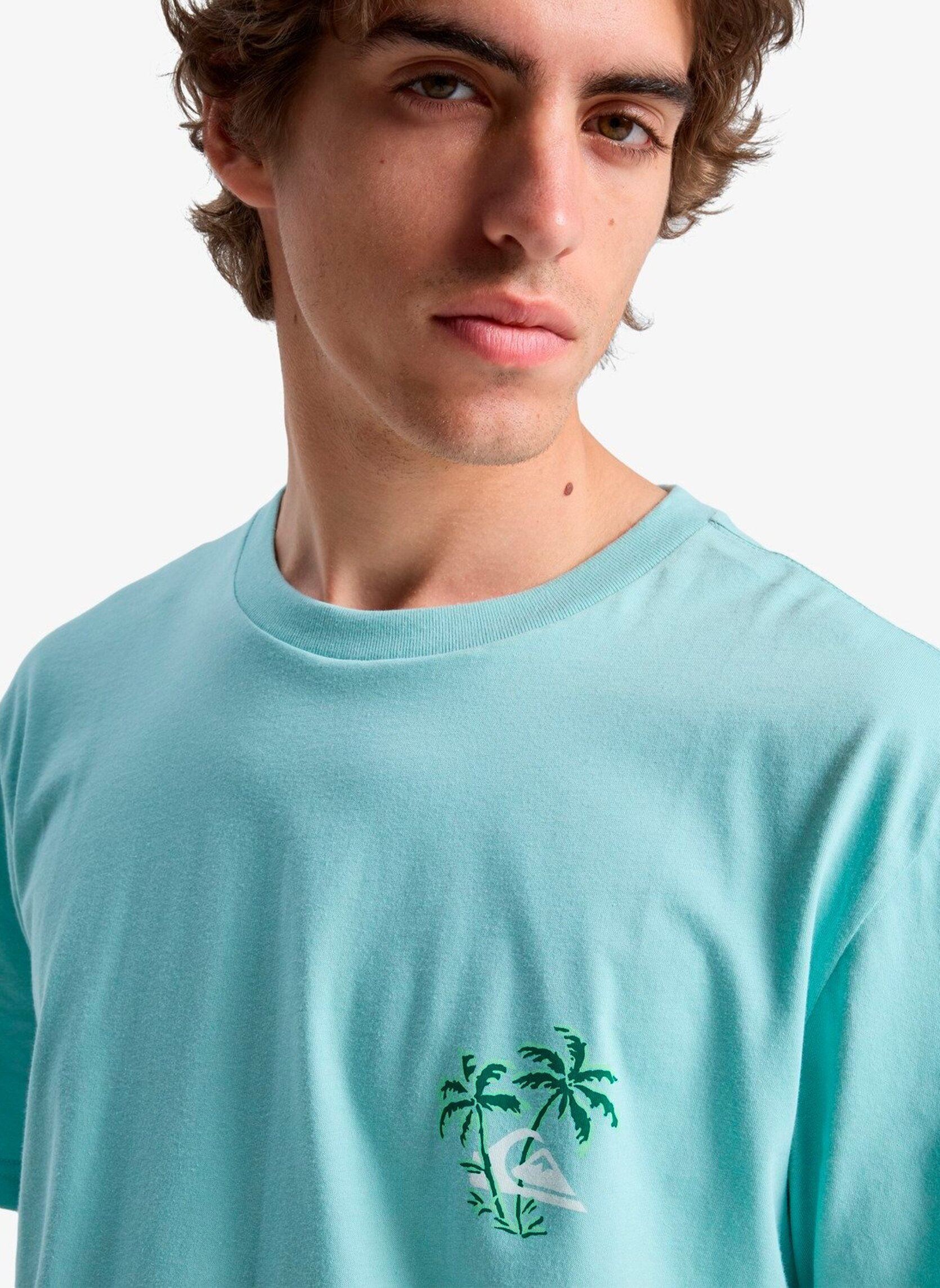 Tee-shirts manches courtes Evo Learning From Nature Ss homme bleu Quiksilver Tee-shirts manches courtes Evo Learning From Nature Ss homme bleu Blue haze