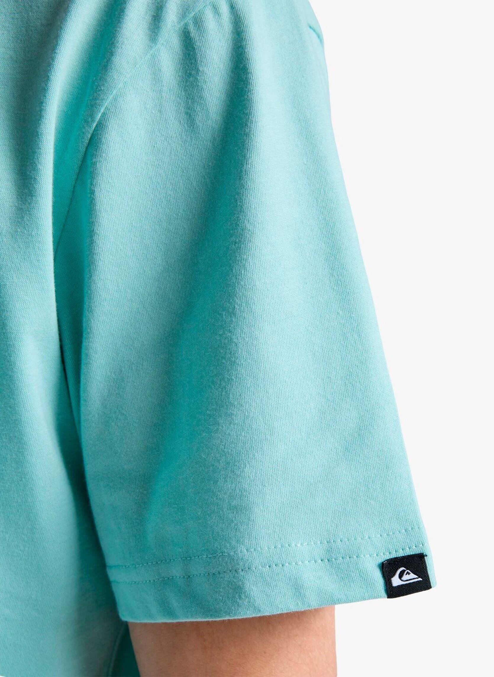 Tee-shirts manches courtes Evo Learning From Nature Ss homme bleu Quiksilver Tee-shirts manches courtes Evo Learning From Nature Ss homme bleu Blue haze