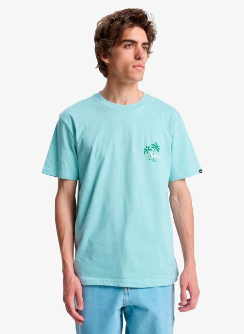 Quiksilver Tee-shirts manches courtes Evo Learning From Nature Ss homme bleu