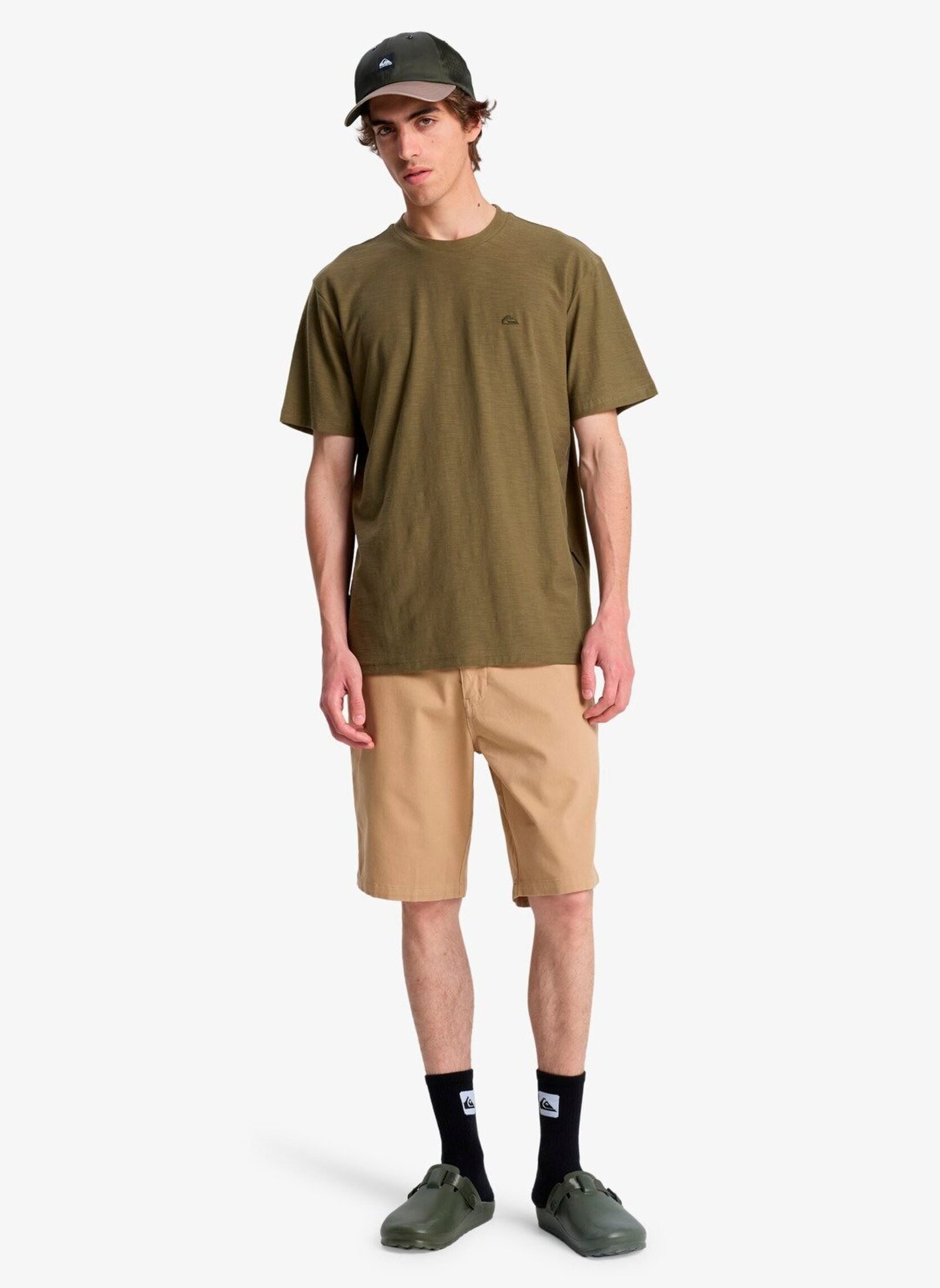 Kurzarm-T-Shirts Slub Roundneck herren grün Quiksilver Kurzarm-T-Shirts Slub Roundneck herren grün grape leaf