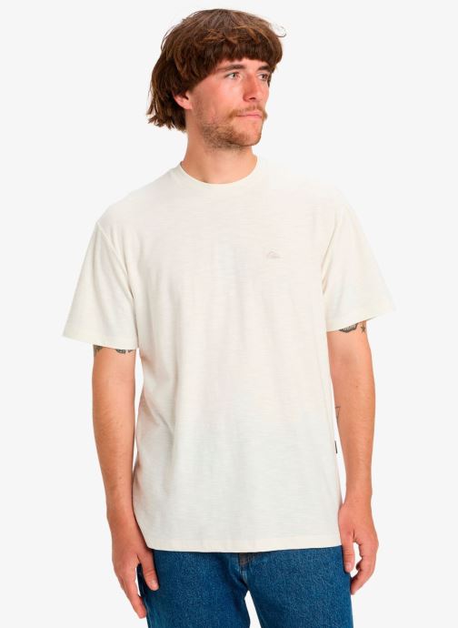 Quiksilver Tee-shirts manches courtes Slub Roundneck homme blanc