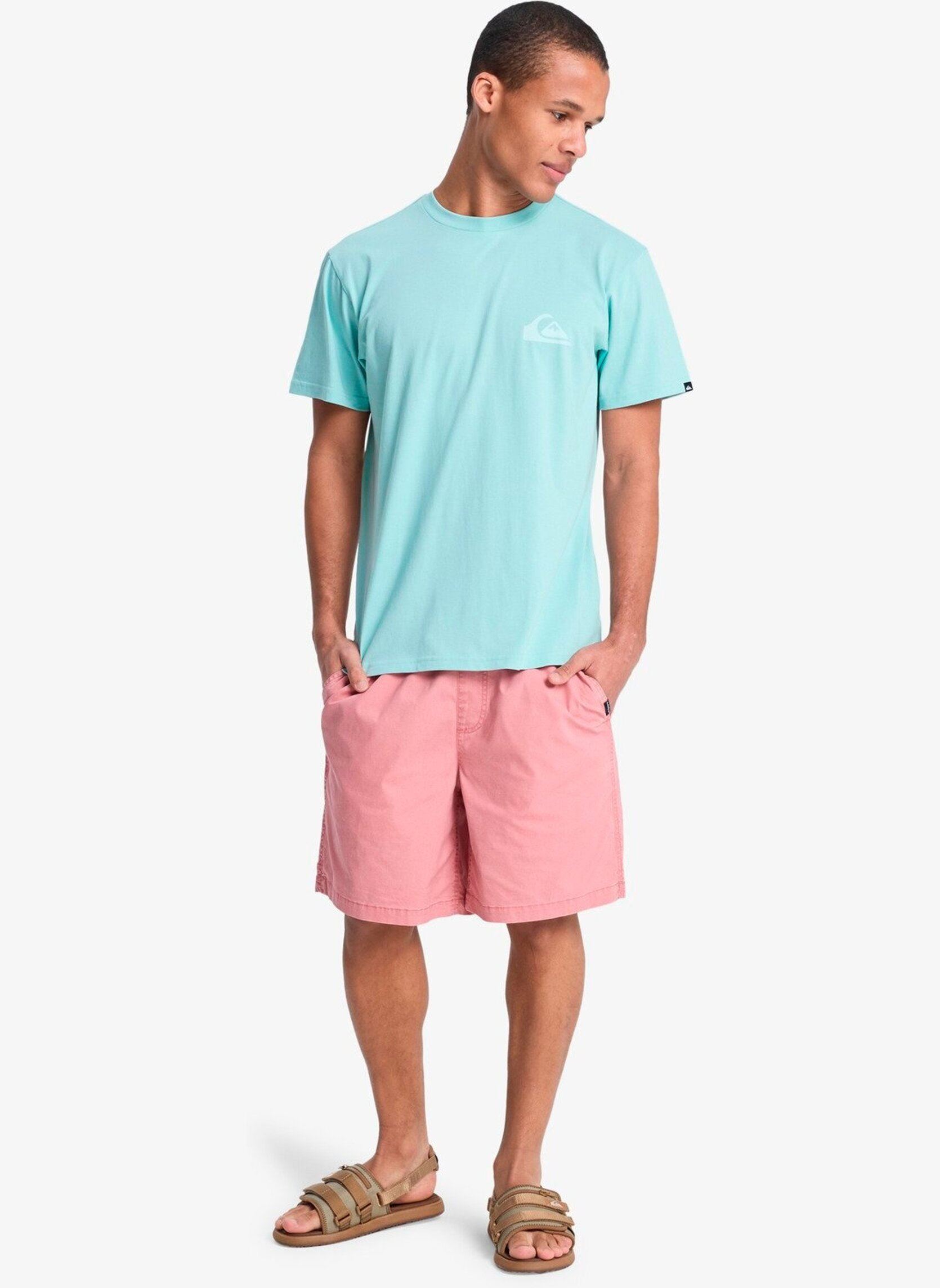 Bermuda-Shorts Taxer Ws 19 herren rosa Quiksilver Bermuda-Shorts Taxer Ws 19 herren rosa DESERT SAND