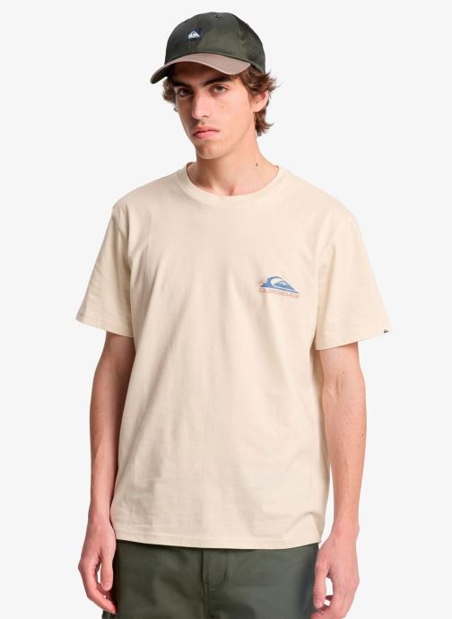 Quiksilver Tee-shirts Ev Barrel Paradise Ss homme beige