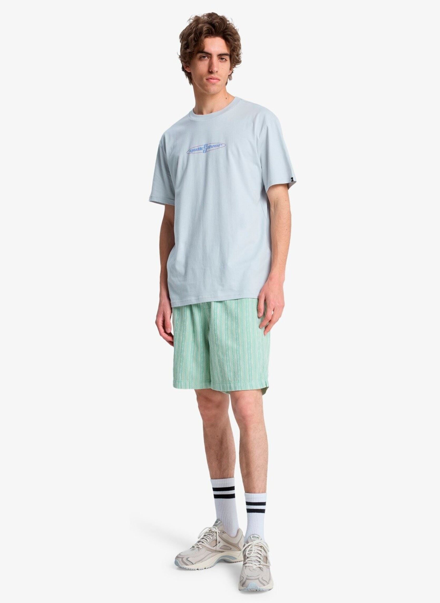 Tee-shirts manches courtes Ev Wild Worlds Ss homme gris Quiksilver Tee-shirts manches courtes Ev Wild Worlds Ss homme gris Micro Chip