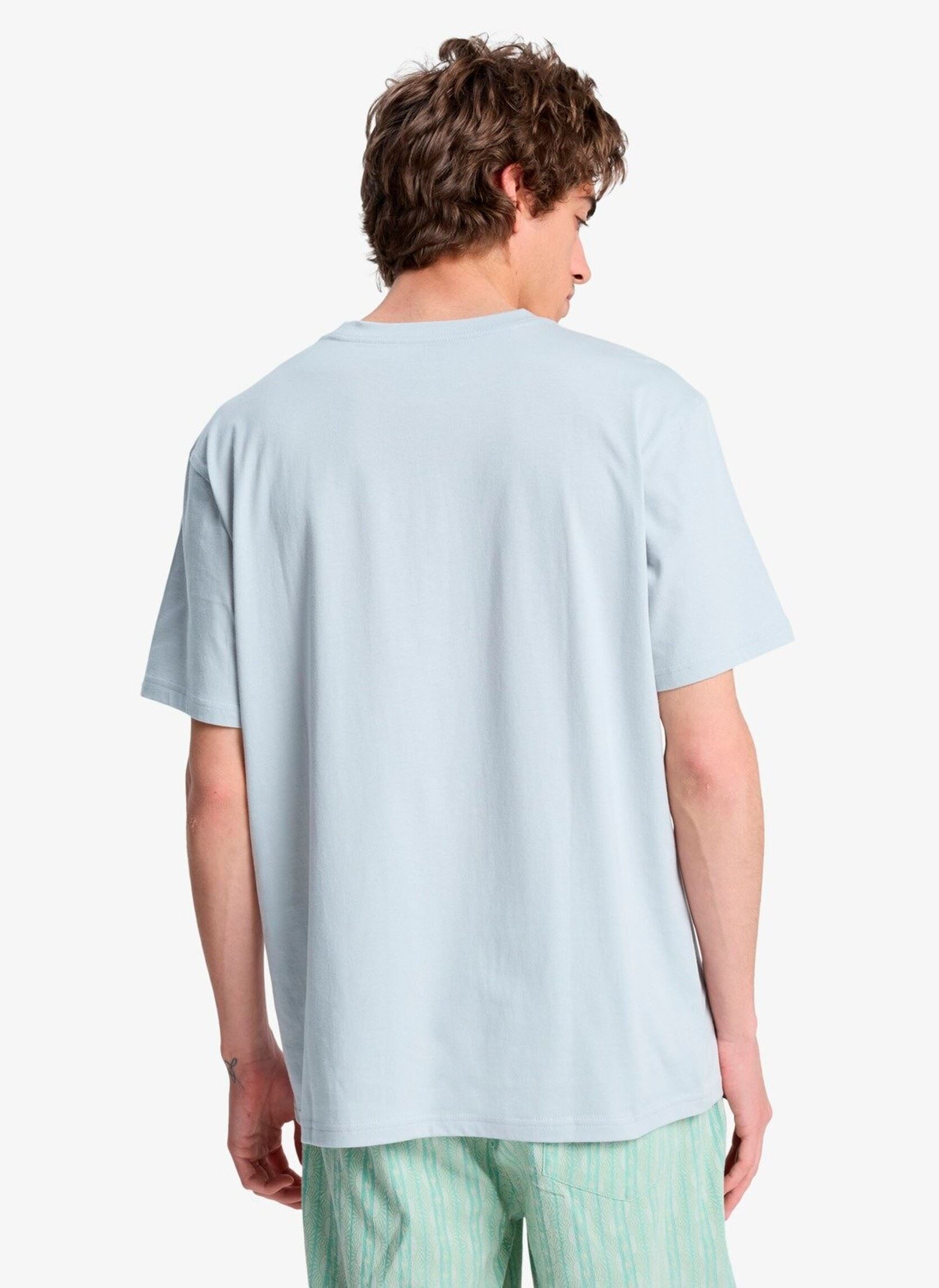 Tee-shirts manches courtes Ev Wild Worlds Ss homme gris Quiksilver Tee-shirts manches courtes Ev Wild Worlds Ss homme gris Micro Chip