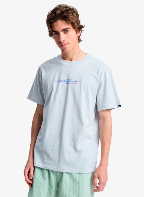 Quiksilver T-shirts met korte mouwen Ev Wild Worlds Ss heren grijs