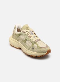 Baskets basses LOW LACE SNEAKER femme vert