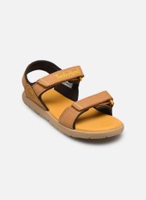 Badeschlappen Perkins Row BACKSTRAP SANDAL jungen blau