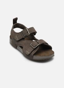 Badslippers CASTLE ISLAND BACKSTRAP SANDAL C jongens grijs